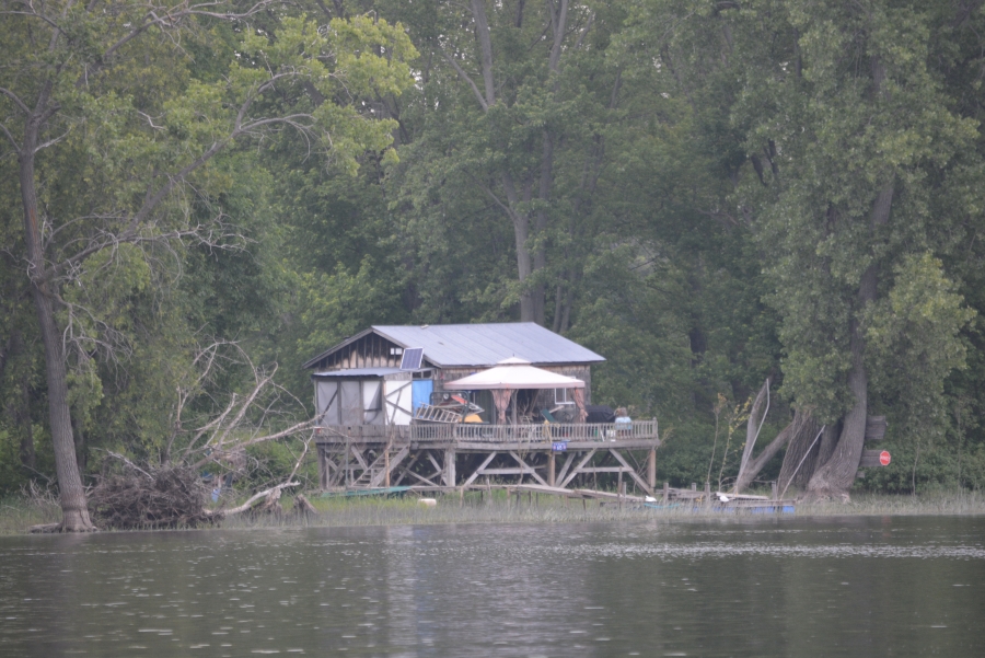 A BAYOU WITHOUT CROCODILES