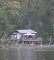 A BAYOU WITHOUT CROCODILES