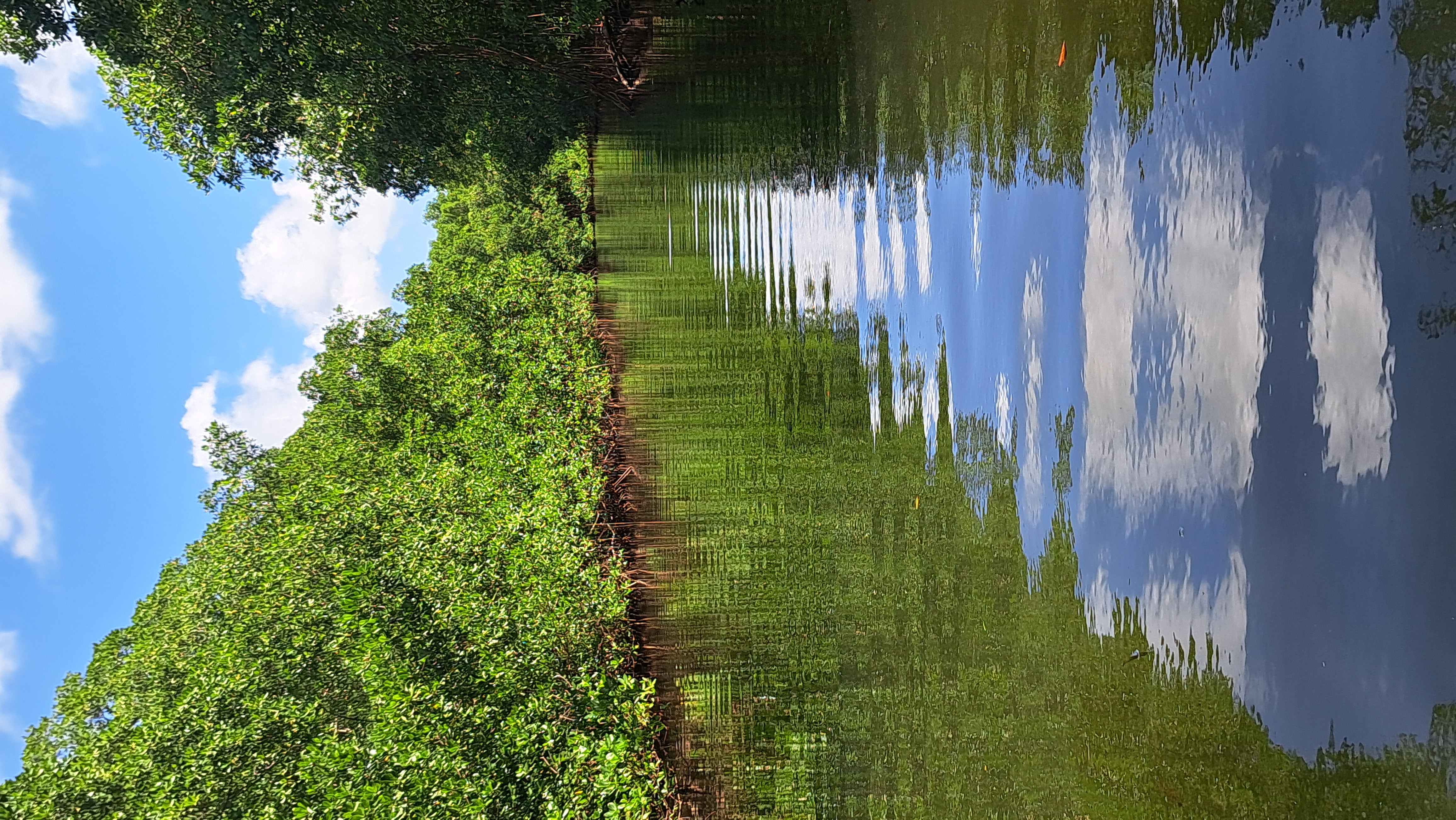 Relaxing Week